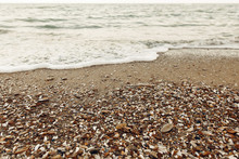 Sandy Beach With Shells, Stones And Waves. Seashore Close Up. Summer Vacation And Travel Concept. Summer Wallpaper