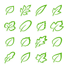 Simple Set Of Linear Green Leaves Vector Icons. Contains Such Vector Icons As Oak Leaf, Currant Leaf, Strawberry Leaf, Ash Leaf And Others