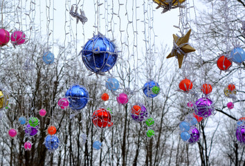 Wall Mural - Multicolored balls and garlands among the snow-covered trees. Beautiful winter background.