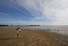 Young Girl Photographing Shorebirds At Low Tide On Fort De Soto State Park's North Beach, Florida.