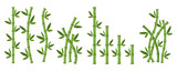 Fototapeta Sypialnia - Green bamboo branches and leaves. Vector illustration.