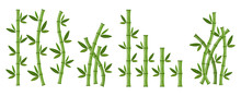 Green Bamboo Branches And Leaves. Vector Illustration.
