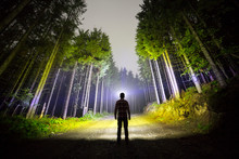 Back View Of Man With Head Flashlight Standing On Forest Ground Road Among Tall Brightly Illuminated Spruce Trees Under Beautiful Dark Blue Sky. Night Wood Landscape And Adventure.