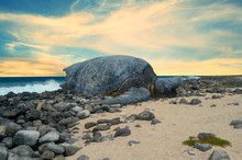 North Seymour Galapagos Island With Photoshoped Giant Sea Turtle 