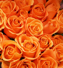 Fotomurales - Fresh orange roses bouquet flower background 