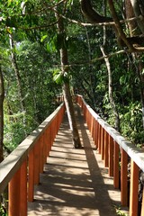 Sticker - Arbre poussant dans une passerelle 