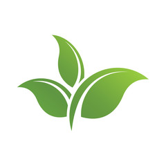 Wall Mural - leaf logo icon design template vector
