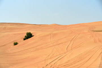  Pink Rock and Sharjah desert area, one of the most visited places for Off-roading by off roaders