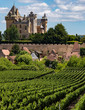 Chateau de Montfort - Dordogne - France