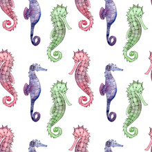 Seamless Pattern With Watercolor Sea Horses. Watercolor Colorful Seahorse Background. Can Be Used For Scrapbook, Wallpaper, Fabric Print, Web Pages And Fills. 