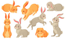 Cartoon Bunny. Rabbits Pets, Easter Bunnies And Plush Little Spring Rabbit Pet Isolated Vector Illustration Set