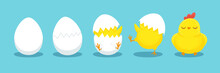 Chicken Hatching. Cracked Chick Egg, Hatch Eggs And Hatched Easter Chicks Cartoon Vector Illustration