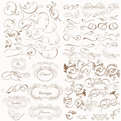 Wall Mural - huge set of vector flourishes for design