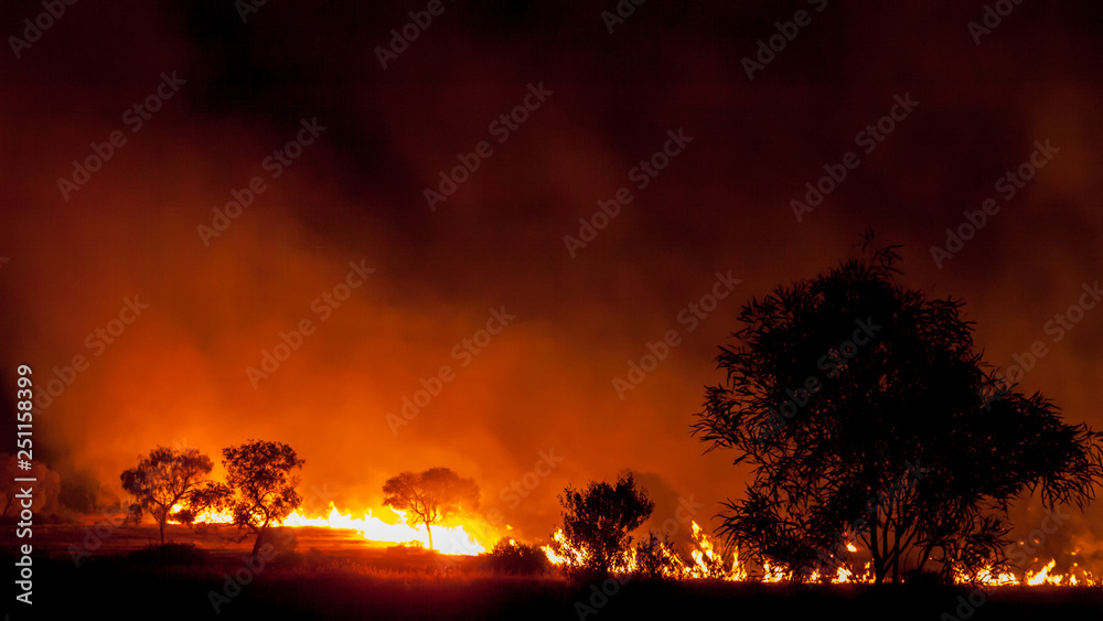 bushfire in grassland with trees in australia - obrazy, fototapety, plakaty 