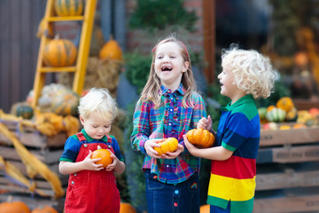 Wall Mural - Kids having fun at pumpkin patch