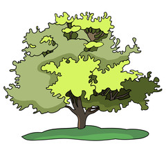 vector drawing, tree illustration, landscape, nature