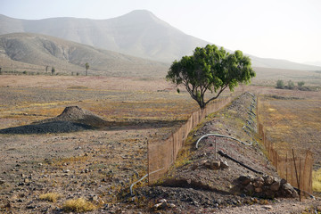 Wall Mural - Fence on the land