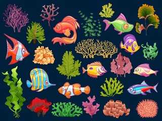 Wall Mural - Cute kid underwater set. Aquarium baby fish and seaweed in water for children isolated vector collection