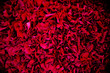 Elegant red paper background as rose petals.