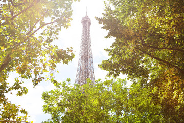 Eifel tower top through the green trees foliage,