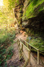 Hiking Trail In Red River Gorge