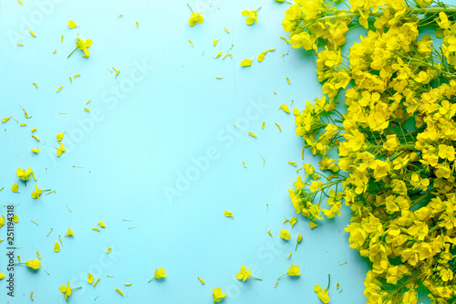Rape blossoms