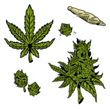 Fototapeta Młodzieżowe - cannabis marijuana set 