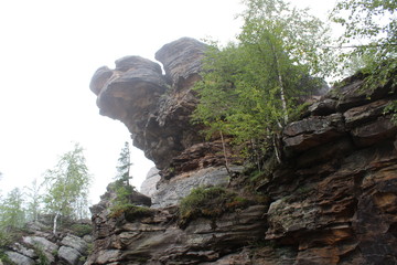 mountain turtle Perm region