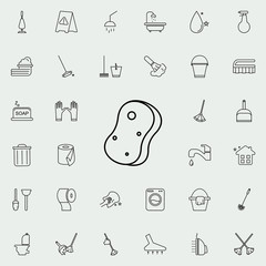 Poster - wisp icon. Cleaning icons universal set for web and mobile