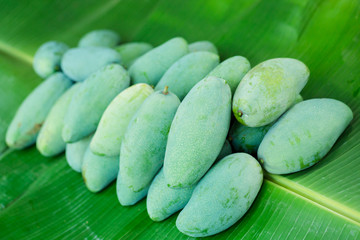 tropical Thai green mango is popular fruit on banana leaf, mango has a unique flavor with sour tasty and high vitamin C, good for for healthy and dietary.