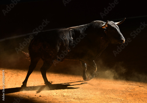 red and black 23 jordans