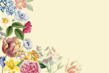 Floral Message Card Free Stock Photo - Public Domain Pictures