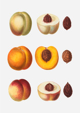 Peaches In A Row
