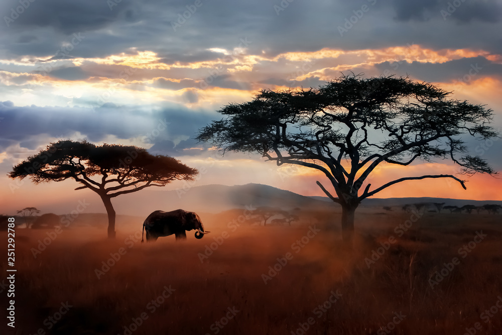 Wild African elephant in the savannah. Serengeti National Park. Wildlife of Tanzania. African landscape. - obrazy, fototapety, plakaty 