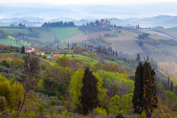 Wall Mural - Typical Tuscan landscape