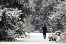 Back View Of Person Walking On Municipal Cemetery At Winter Day, Amsterdam, The Netherlands