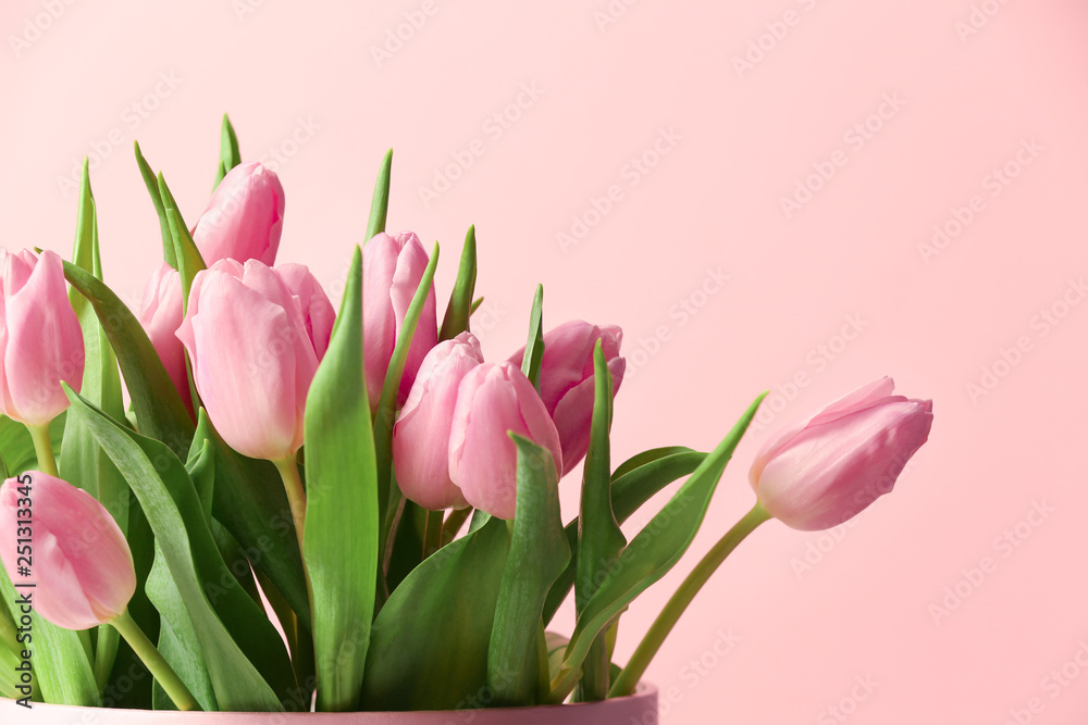 Bouquet of beautiful tulips on color background