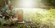 Herbstliches Gesteck und Kerze auf Grab im Friedhof - Tod, Trauer, Schmerz, Erlösung