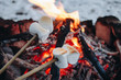 Roasted marshmallows on a fire in the winter forest