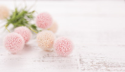 Flowers composition for Valentine's, Mother's or Women's Day. Pink flowers on old white wooden background. Still-life.