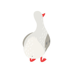 Sticker - Cute White Goose Cartoon Character Back View Vector Illustration