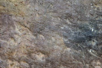 Wall Mural - stone texture or background