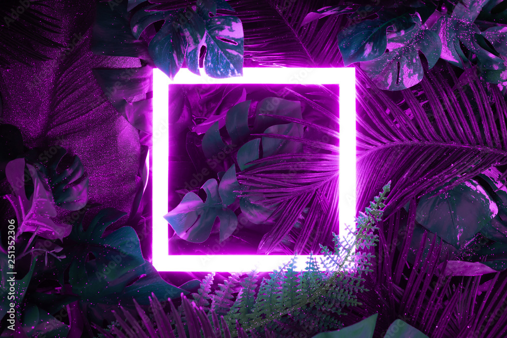 Creative fluorescent color layout made of tropical leaves with neon light square. Flat lay. Nature concept. - obrazy, fototapety, plakaty 