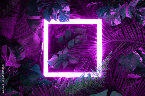Fotomural Creative fluorescent color layout made of tropical leaves with neon light square