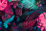 Fototapeta Sypialnia - Creative fluorescent color layout made of tropical leaves. Flat lay neon colors. Nature concept.