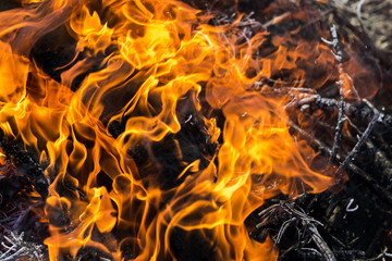 The old wooden house burns. Fire close-up, the boards are burning