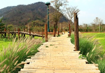  Bamboo bridge in nature
