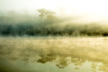  Morning mist