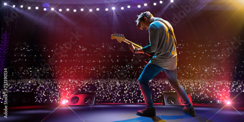 Cuadros en Lienzo Rock star on the main stage big music festival
