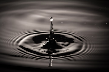 Wall Mural - Water drip  close macro